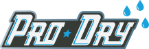 ProDry Logo2
